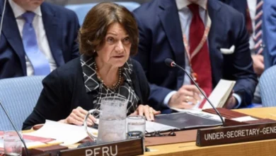 засідання Ради Безпеки ООН Розмарі Дікарло