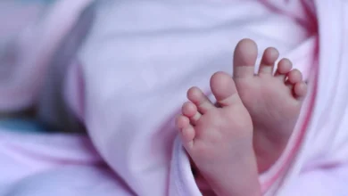 Народжуваність в Україні за тиждень