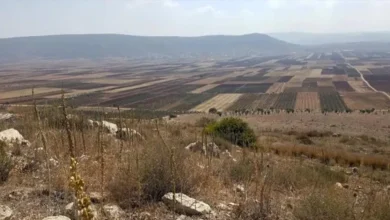 перше чудо Ісуса