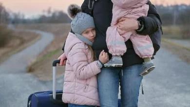 війна і сім'я