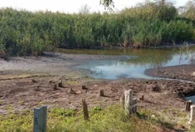 Зневоднення річки в Україні на тлі зміни клімату