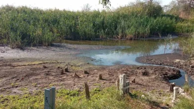 Зневоднення річки в Україні на тлі зміни клімату