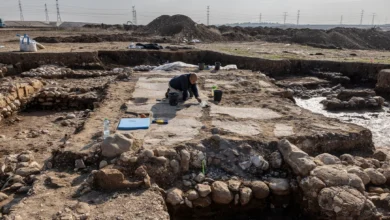 Війна перервала біблійні розкопки