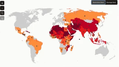 Новий звіт Bible Access List: 100 мільйонів християн досі не мають доступу до Біблії
