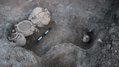 кремаційне поховання Хорват Тевет