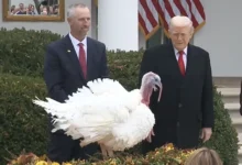 День подяки 2025 у США: історія свята, сучасні традиції та український контекст