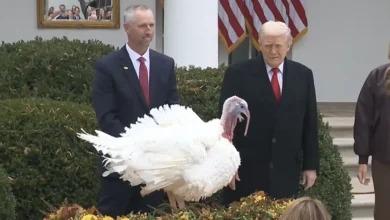 День подяки 2025 у США: історія свята, сучасні традиції та український контекст