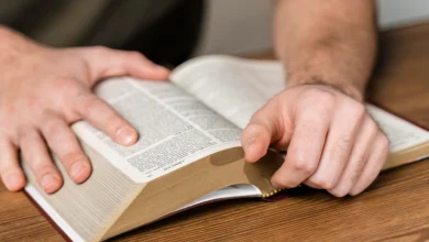 Глобальне дослідження показало, як різні країни світу взаємодіють із Біблією