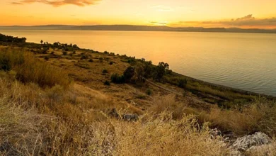 Місце, де Ісус вигнав бісів у стадо свиней