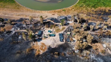 Пожежа відкрила нові докази з біблійної Віфсаїди — батьківщини апостолів