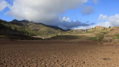 Європа швидко втрачає воду: нові супутникові дані показали небезпечний тренд