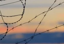 Християнські лідери: світ наближається до небезпечної точки війни