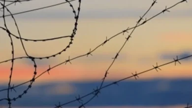 Християнські лідери: світ наближається до небезпечної точки війни