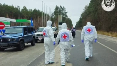 РФ передала тіла 375 полонених українців із ознаками тортур