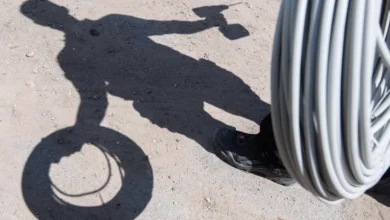 ринок праці в Україні 2026