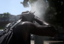 Понад 10 тисяч людей померли під час рекордної спеки в Європі