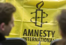 Amnesty вибачилася за звіт про «антиправозахисні» християнські організації